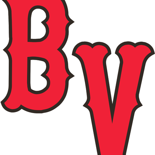 Beaver Valley Baseball