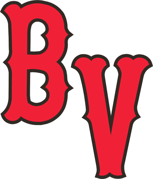 Beaver Valley Baseball – Premier Travel Baseball in Pittsburgh